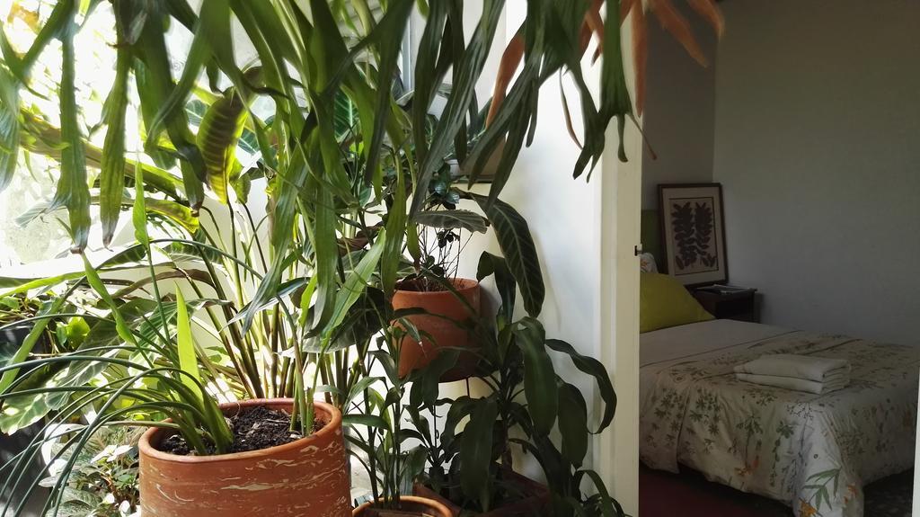 Saman Hostel Медельин Экстерьер фото