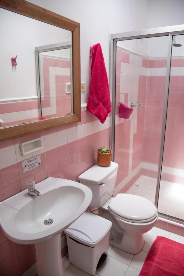 Saman Hostel Медельин Экстерьер фото